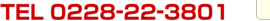 TEL 0228-22-3801