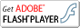 Macromedia Flash Player ダウンロード