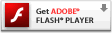 Adobe Flash Player̃_E[h͂